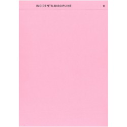 CHEMISE C-INCIDENTS-DISCIPLINE