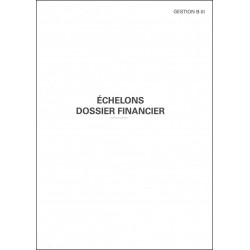 CHEMISE ECHELONS-DOSSIER FINANCIER-GESTION B-3