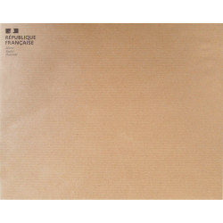 Pochette KRAFT 260 X 330...