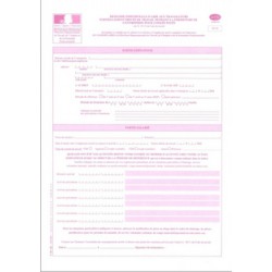 Cerfa 12480*01